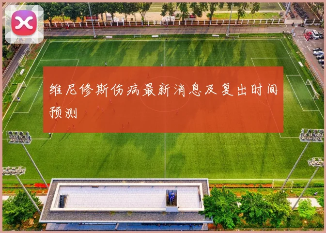 维尼修斯伤病最新消息及复出时间预测